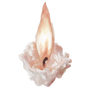 a flame on a white background