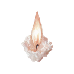 Candle flame on a white background