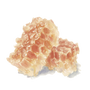 Close-up of honeycomb with beeswax on a white background