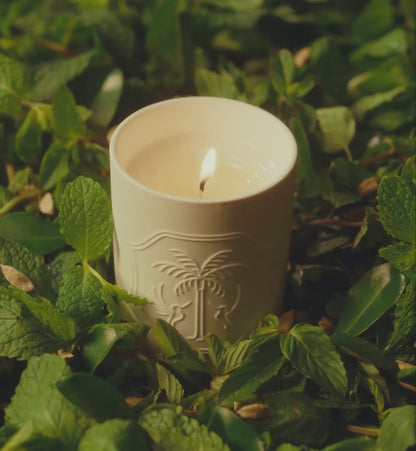 Signature Candle No. 519